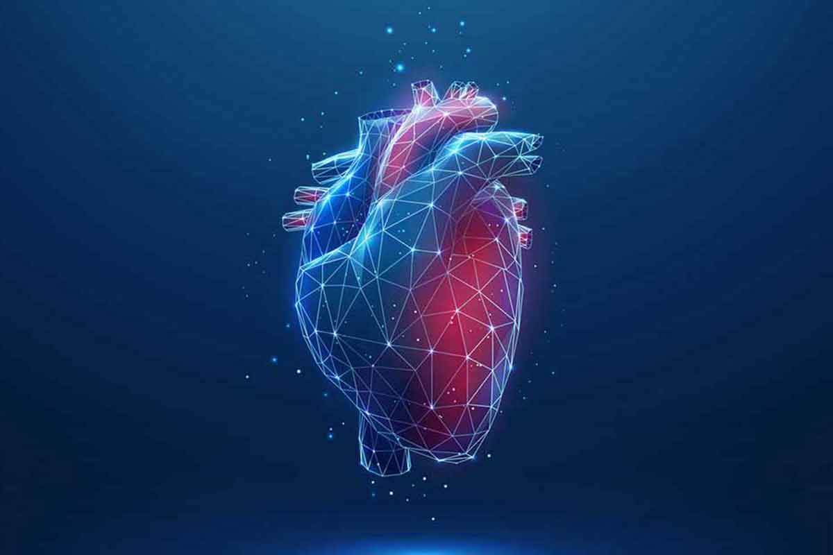 DCI Centre for Thoracic Aortic Disease